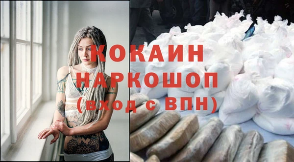 бошки Новодвинск