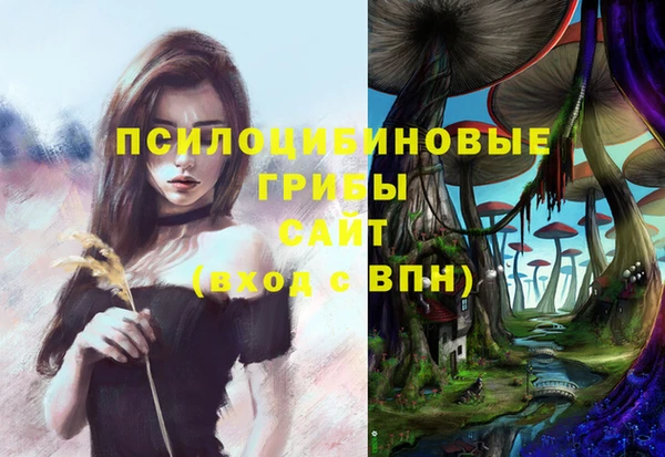 синтетический гашиш Александровское