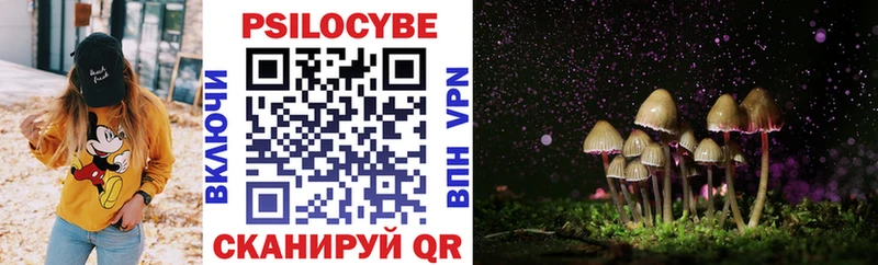 хочу наркоту  Большой Камень  Галлюциногенные грибы MAGIC MUSHROOMS 