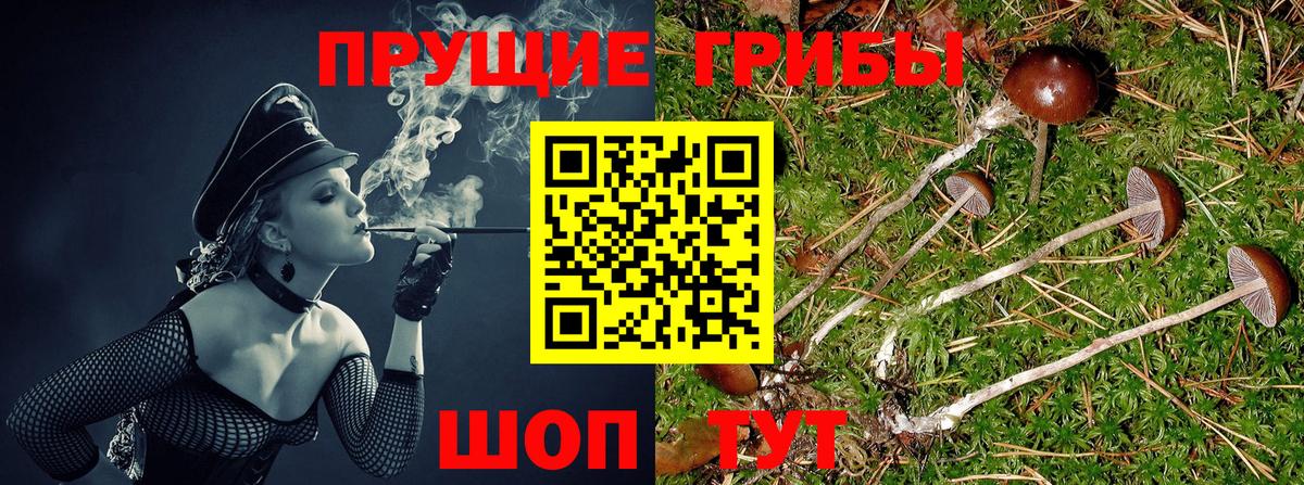 Псилоцибиновые грибы MAGIC MUSHROOMS Большой Камень