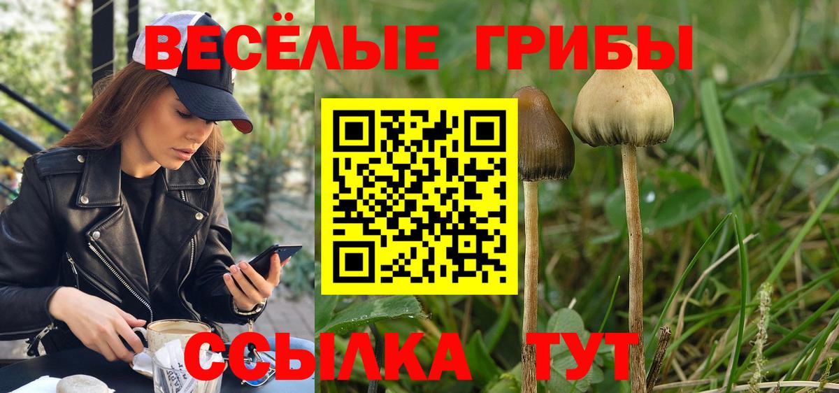 Бошки Шишки Большой Камень