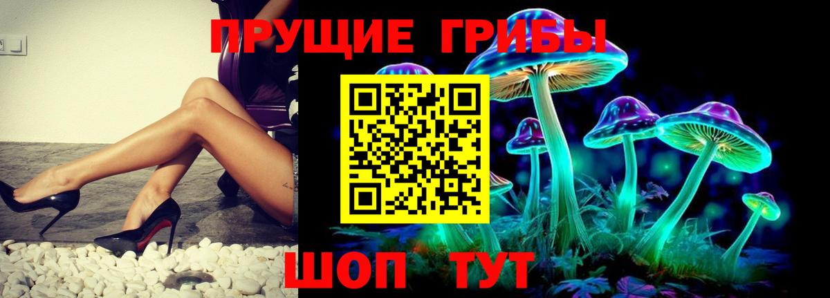Большой Камень  Галлюциногенные грибы Psilocybe  Вход с VPN 